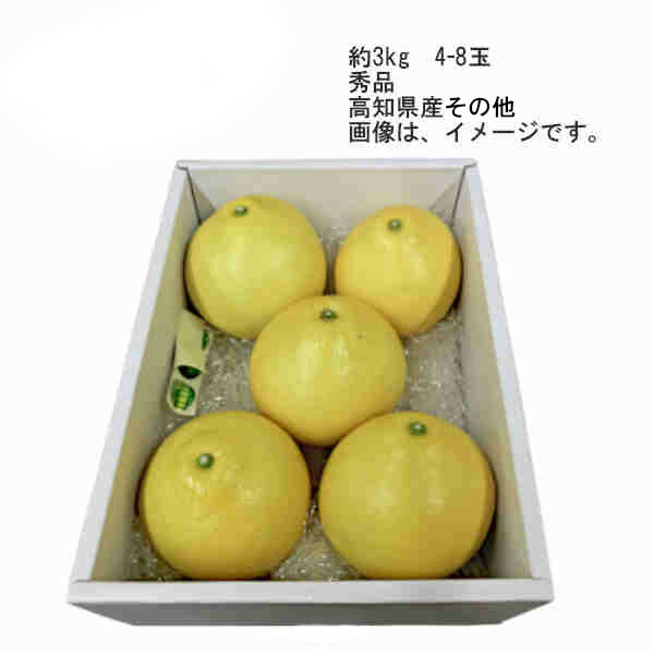 楽天市場】水晶文旦 温室 愛知県伊良湖産 約2kg 約5～6玉 : 果物百貨店