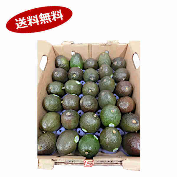 【送料無料】アボカド　メキシコ　その他　約5k　24-35玉★一部、北海道、沖縄のみ別途送料が必要となる場合があります