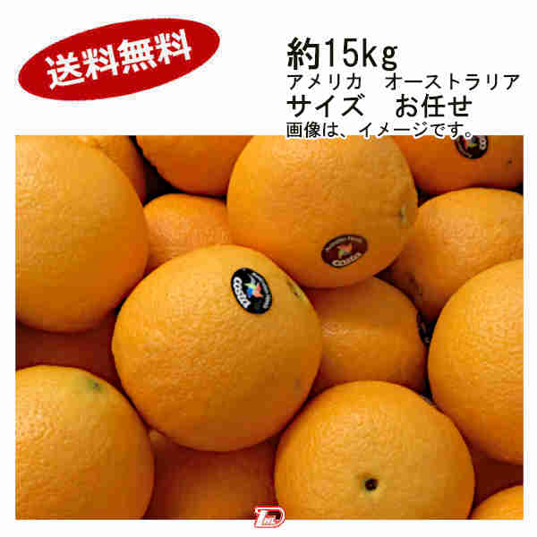 楽天市場】ネーブルオレンジ オーストラリア産 小箱 約2.8kg 約12玉 中