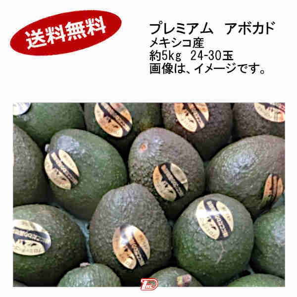 送料無料 プレミアム アボカド メキシコ産 約5kg 24 30玉 一部 北海道 沖縄のみ別途送料が必要となる場合があります Umu Ac Ug