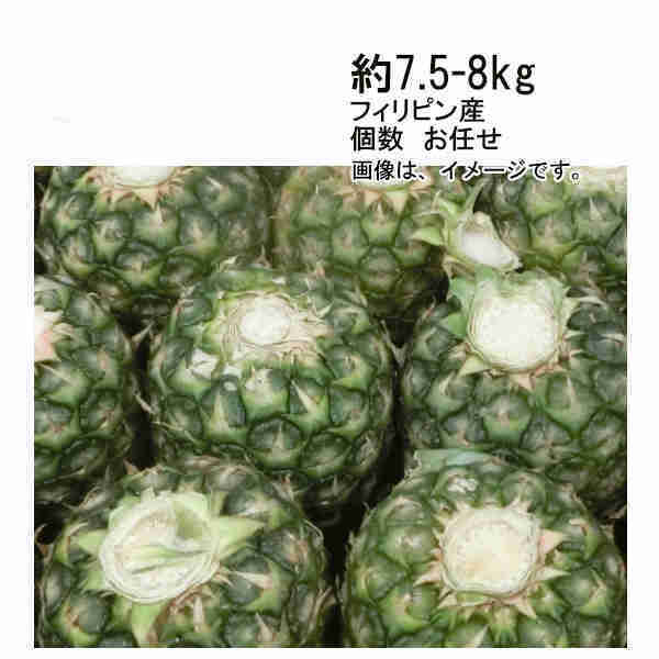 楽天市場】パイナップル 約10kg （ 6〜8個 ） フィリピン産 : まるっと青果
