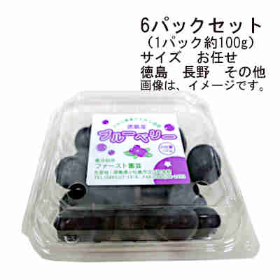 【送料無料】国産ブルーベリー　徳島　長野　その他　6パックセット　（1パック約100g）　サイズ　お任せ★一部、北海道、沖縄のみ別途送料が必要となる場合があります