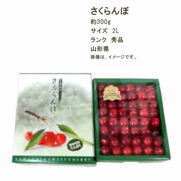 【送料無料】さくらんぼ 佐藤錦 山形県産 約300g サイズ 2L ランク 秀品★一部、北海道、沖縄のみ別途送料が必要となる場合があります