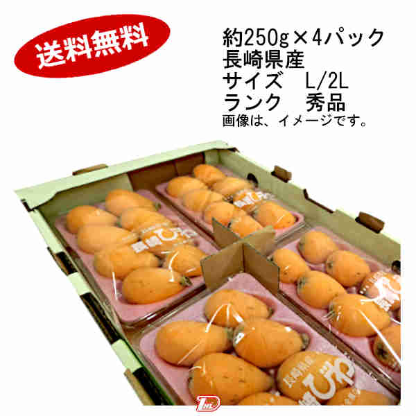 【送料無料】茂木びわ　長崎県産　約250g×4パック　サイズ　お任せ　ランク　お任せ★一部、北海道、沖縄のみ別途送料が必要となる場合があります