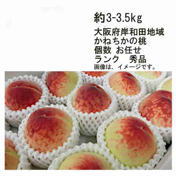 今季一番 ①泉州岸和田かねちかの桃✨14度✨8個入り