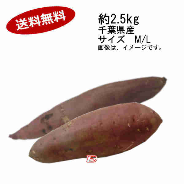 レビューを書けば送料当店負担 シルクスイート SS~S 約50g～200g 5kg