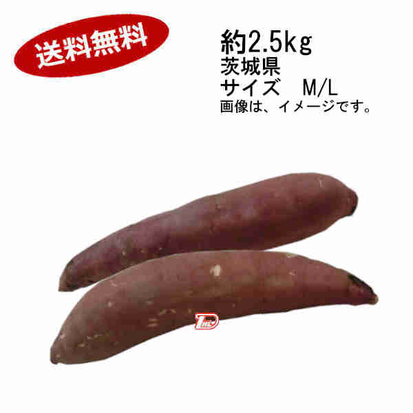 茨城県産紅はるか200キロ 海花様専用品 欠品商品です www.carnes