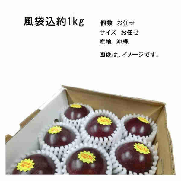 【送料無料】パッションフルーツ 風袋込 約1kg 沖縄県産 個数 お任せ サイズ お任せ★一部、北海道、沖縄のみ別途送料が必要となる場合があります