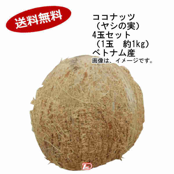 楽天市場 送料無料 ココナッツ ヤシの実 4玉セット 1玉約800 900g ベトナム産 一部 北海道 沖縄のみ別途送料が必要となる場合があります ショップダイヘイ楽天市場店