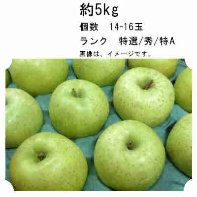 【送料無料】王林　りんご　約5kg　個数　14-16玉　ランク　特選/秀/特A★一部、北海道、沖縄のみ別途送料が必要となる場合があります