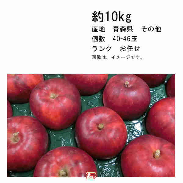 【送料無料】紅玉　りんご　青森県　その他　約10kg　個数　約40-46玉　ランク　お任せ★一部、北海道、沖縄のみ別途送料が必要となる場合があります