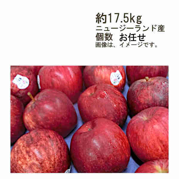 【送料無料】ガラりんご プリンスりんご ニュージーランド産 約17.5kg 個数お任せ★一部、北海道、沖縄のみ別途送料が必要となる場合があります