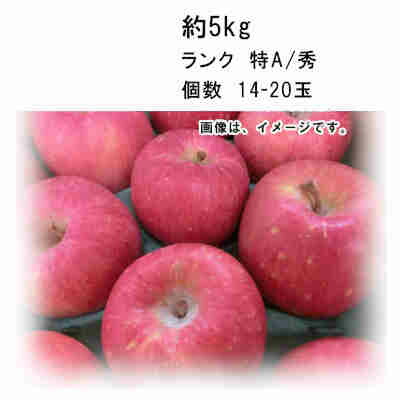 【送料無料1ケース】ふじりんご 青森県産 約5kg 14-16玉入 ランク 特A/秀品★1部、北海道、沖縄のみ別途送料が必要となる場合があります