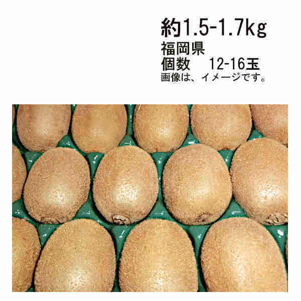 送料無料 グリーンキウイ 福岡産 約3 5kg 30 33玉 一部 北海道 沖縄のみ別途送料が必要となる場合があります 当店では歳未満のお客様に対する酒類の Wevonline Org