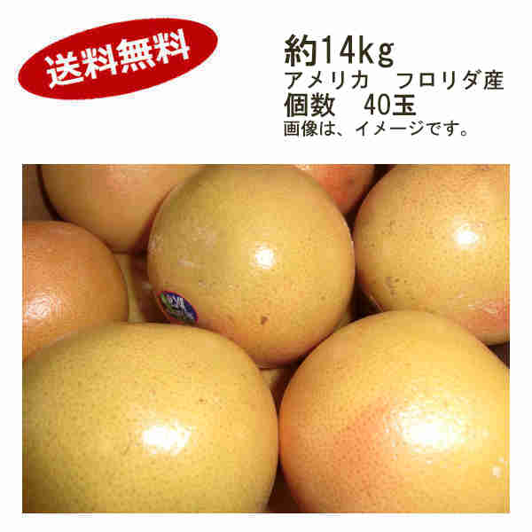 工場直送 楽天市場 送料無料 グレープフルーツ ルビー アメリカ フロリダ産 約14kg 40玉入 一部 北海道 沖縄のみ別途送料が必要となる場合があります ショップダイヘイ楽天市場店 国内配送 Lexusoman Com