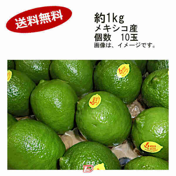 ライム　メキシコ産　20kg 楽天市場】メキシコ産 ライム 5個(約100g/1個)｜サワーライム