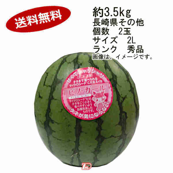 【送料無料】ピノガール 種まで食べられる こだますいか 長崎県その他 約3.5kg 個数 2玉 サイズ　2L ランク 秀品★一部、北海道、沖縄のみ別途送料が必要となる場合があります