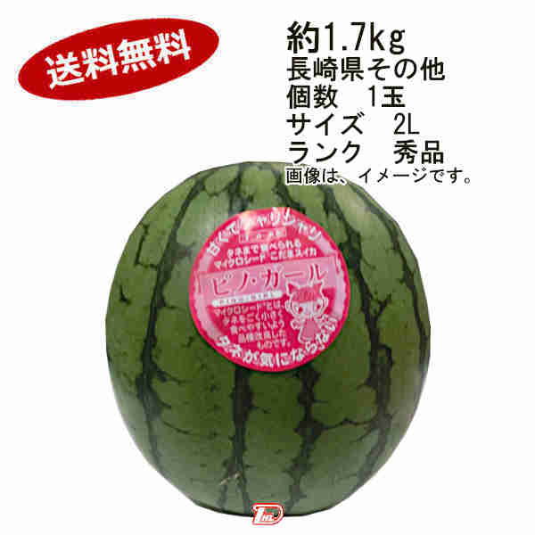 ６・茨城県・HAMA・ピノガール 茨城県産 JA北つくば こだますいか 「ピノガール」L・2玉入り