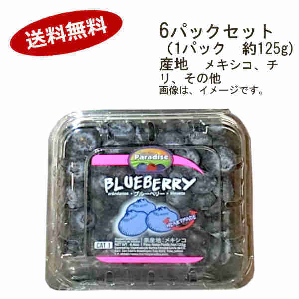 【送料無料】ブルーベリー メキシコ チリ その他 6パックセット （1パック約125g）