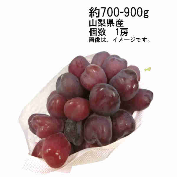 送料無料 富士の輝 種なし 皮ごとok ぶどう 山梨県産 約700 900g 個数 1房 一部 北海道 沖縄のみ別途送料が必要となる場合があります Hazelwoodconst Com