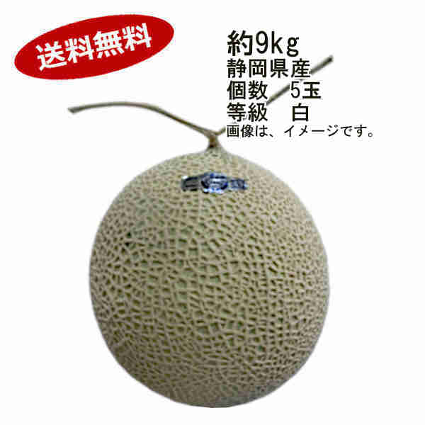 受賞店舗 送料無料 クラウンメロン 静岡県産 約9kg 5玉入 等級 白 一部 北海道 沖縄のみ別途送料が必要となる場合があります 格安人気 Agppackaging Com Py