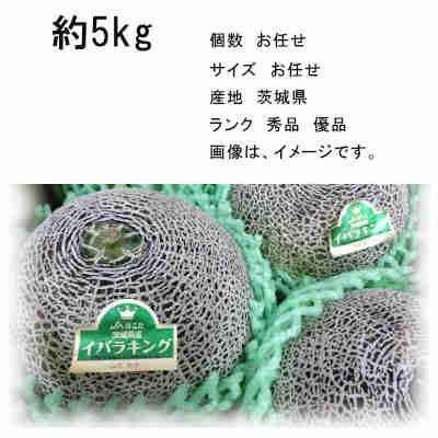 【送料無料】予約 5月下旬-6月中旬発送 イバラキング メロン 茨城県 約5kg 個数 お任せ ランク お任せ★一部、北海道、沖縄のみ別途送料が必要となる場合があります