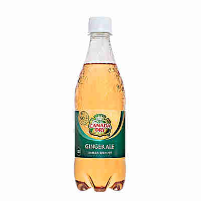 【２ケース】カナダドライ ジンジャーエール　コカコーラ　500ml PET　24本×2