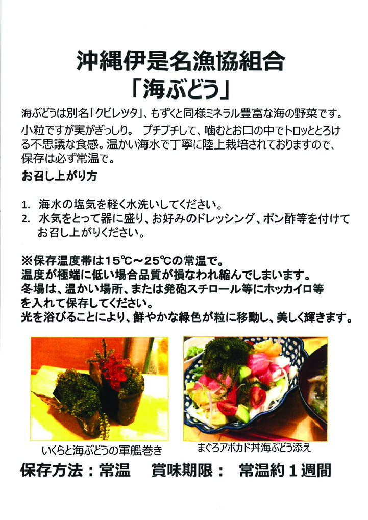 送料無料 生 選別済み 1kg 伊是名漁協 手摘み茎無し 伊是名島特産海ぶどう 沖縄県 伊是名漁業協同組合