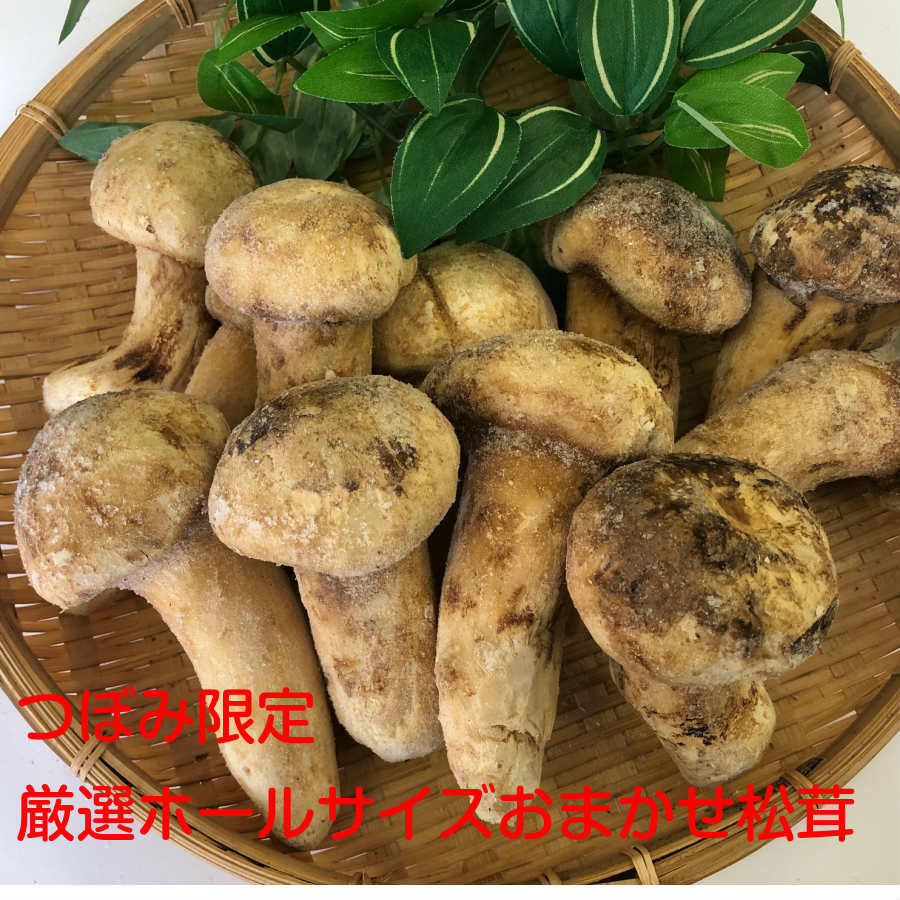 楽天市場】料亭松茸サイズおまかせ２５０ｇ ２０２２年新物 有名料理店監修レシピ付き ！【楽天ランキング受賞】【品質本位】【お吸い物】【バーベキュー】【すき焼き】【秋の王様】【smtb-tk】【カニ蟹鍋】【まつたけ】【マツタケ】【ホール 限定】９月末より順次発送開始 ...