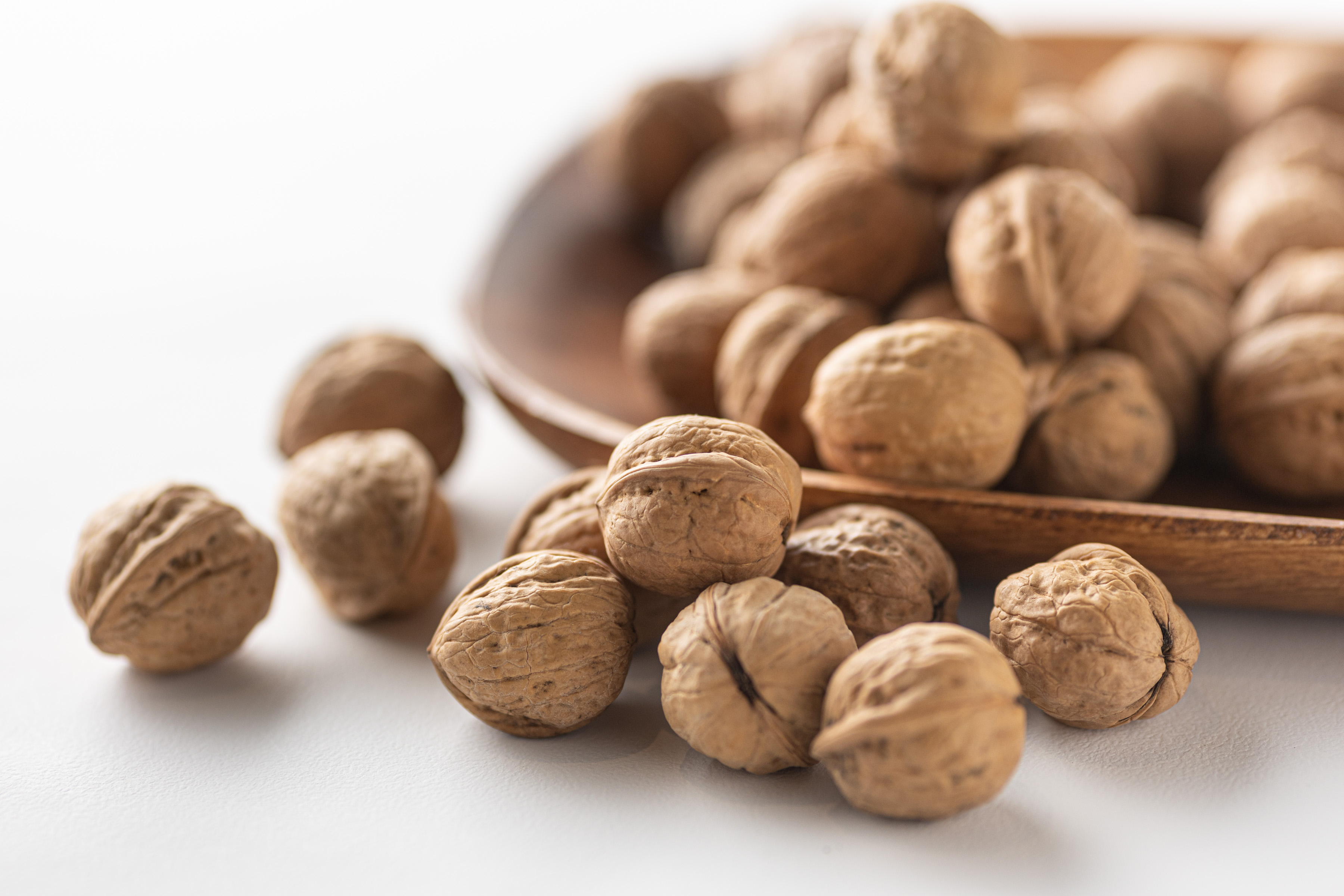 楽天市場】国産 生くるみ 700g 殻つき 長野県産 数量限定 殻付き