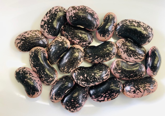 【完売】【2025年度】　長野県産　八ヶ岳　花豆　お問い合わせページ 2025年度】 長野県産 八ヶ岳 花豆 お問い合わせページ