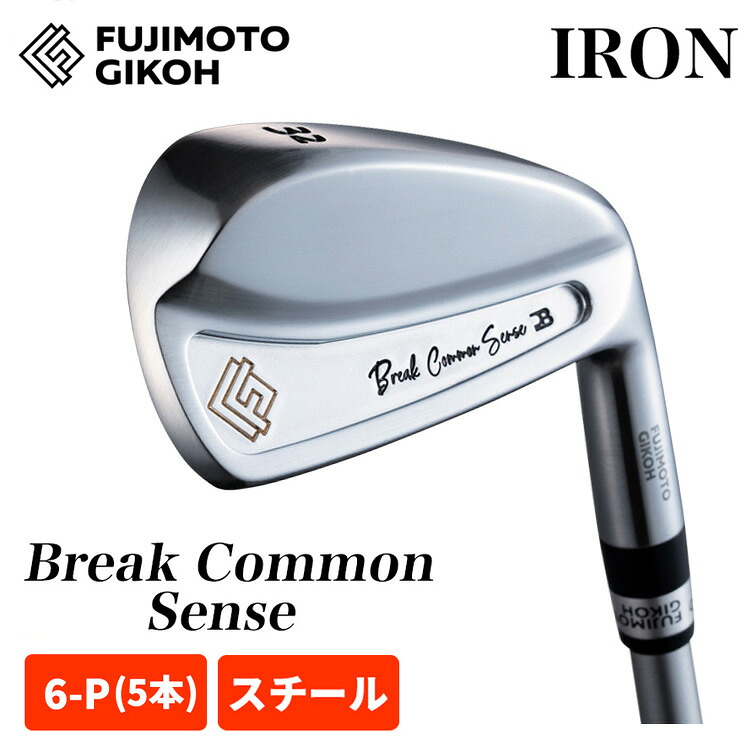 【全品ポイント5倍！4/4 20:00-4/10 1:59まで】 【特注カスタム】藤本技工 アイアンセット Break Common Sense Iron #28～45(#6-P相当 5本組)　スチールシャフト FUJIMOTO GIKOH
