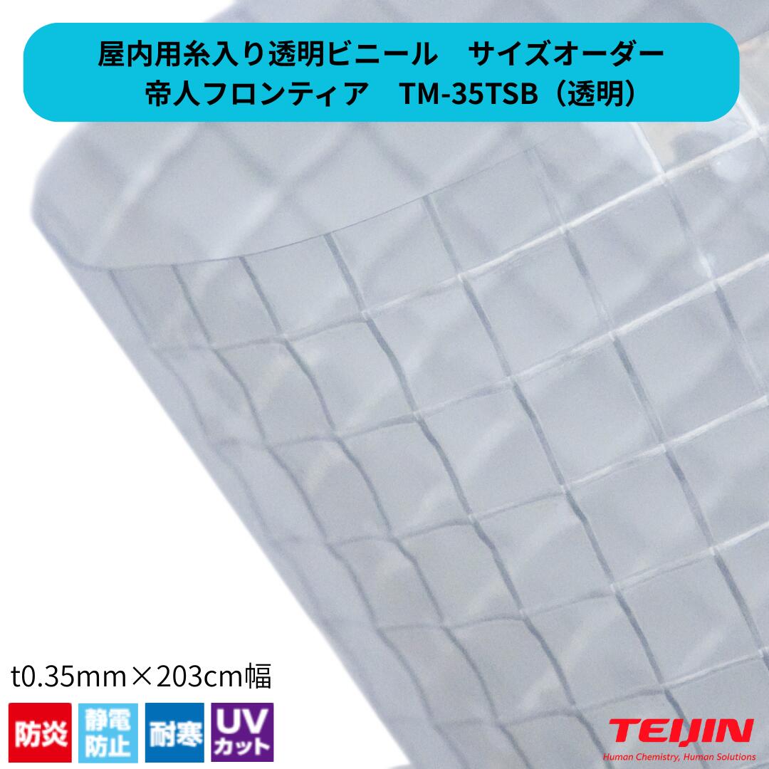 【サイズオーダー】糸入り透明ビニール TM-35TSB クリアスルー t0.35mm ビニールカーテン 耐寒 帯電防止 防炎 帝人フロンティア 間仕切り 工場 倉庫 倉庫 業務用
