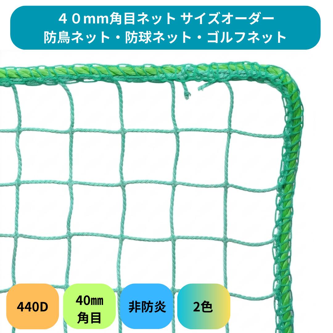 【大きさ購入注文】防鳥・防球サイバー空間 40粍角目 無結節 PE 450d/48本 440T 防鳥サイバー空間 鳥よけサイバー空間 工業プラント バス発着場 ベイスボール  鳩・ムクドリ打つ手 非防炎  境界線の外側6粍索条強化 落ちる押しとどめる 落っこちる押しとどめる 打撃サイバー空間 運動競技サイバー空間 ゴルフサイバー空間 安全性のあるサイバー空間