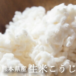 米麹 1kg ～ 10kg 生 九州 熊本県産 米こうじ 手作り 米糀 甘酒 味噌 塩麹 醤油麹 作り 酵素ドリンク こうじの力 ヨーグルティア 酵素 発酵ライフ 塩こうじ 【クール便配送】