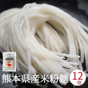 米粉うどん 米粉麺 12個入り グルテンフリー 熊本県産米粉 熊本産ヒノヒカリ使用 100gx12個 国産米粉 九州 熊本産 メール便 そうめん うどん 米屋の米粉 パスタ フォー 米の米粉 ラーメン 送料無料 ライスヌードル 米粉 離乳食 送料込 麺