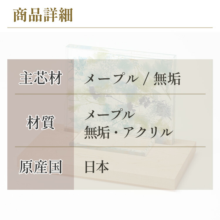 ミルワーム 10g 2cm〜3.5cmサイズ（クリックポスト）