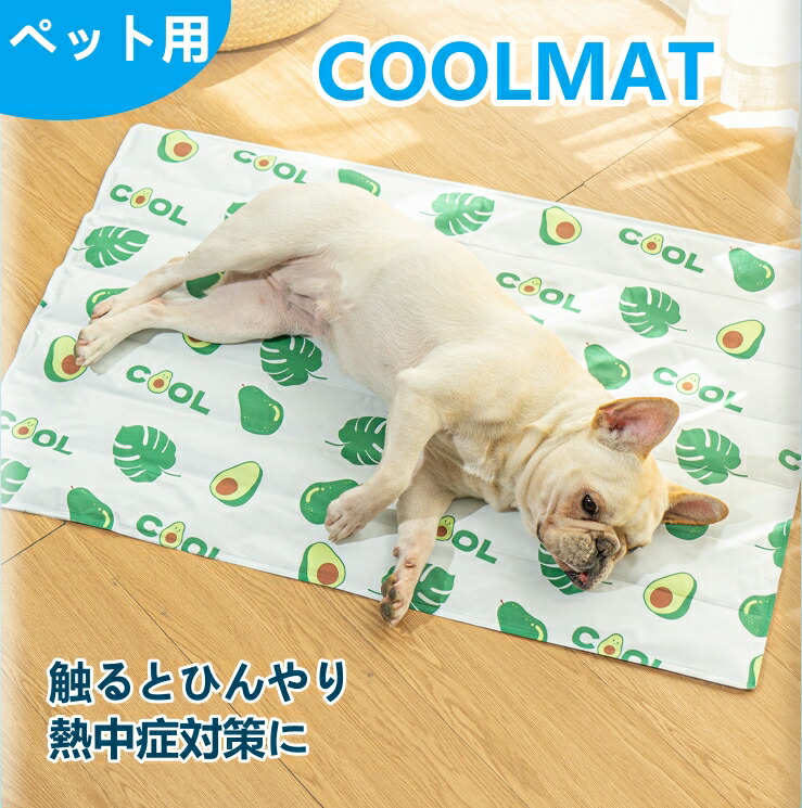 【楽天市場】犬 猫 ひんやり マット グッズ 30*40CM クールマット 冷感 暑さ対策 涼しい 接触冷感 夏用 シート ペット用品 熱中症対策  冷却マット 小型犬 犬用 猫用 洗える 涼感 防水ペット用 ひんやりシート ネコ 熱中症 クールジェルマット : 大黒屋新潟