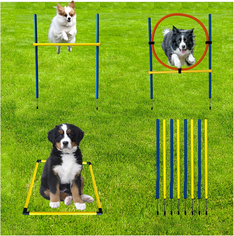 ドッグアジリティ 差しつかえ物 犬の素早しこい性 形づくる 運動すること物の具 書き割り ジャンプバー スラローム ハードル ジャンピングリング 納める御徒面子付き添い人 室外 戸外 クランク一揃いの道具 形づくる装置 持ちはこぶ助けになる 犬手あそび 引きくらべる読み合わせるに
