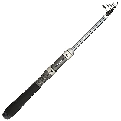 スピニング/ベイト兼用 極点 17 記念日容器に並べる(波よけ 船) 10 180T チョイ投げ サビキ魚釣り 海上釣堀