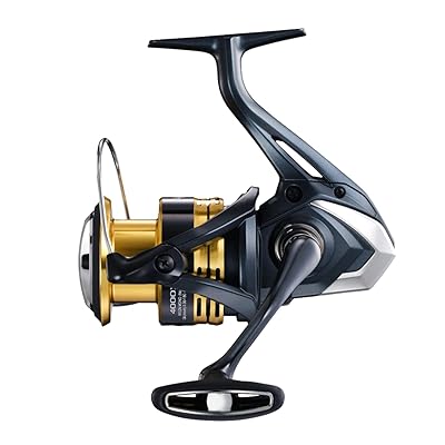 スピニングリール 22 スペイン領サハラ 4000XG エアレックス