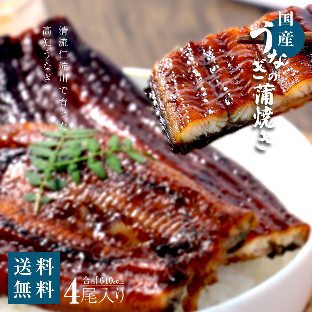 ギフト 海鮮 送料無料 うなぎ ギフト 食べ物 高知 プレゼント うなぎ蒲焼き 真空パック ウナギ 食べ物 冷凍 高知 鰻 内祝い お返し お取り寄せグルメ 海鮮物 スタミナ疲労回復 お取り寄せグルメ うなぎ蒲焼き4尾 ひつまぶし 山椒 うな重 うな丼 贈り物 還暦祝い ゴルフ 景品