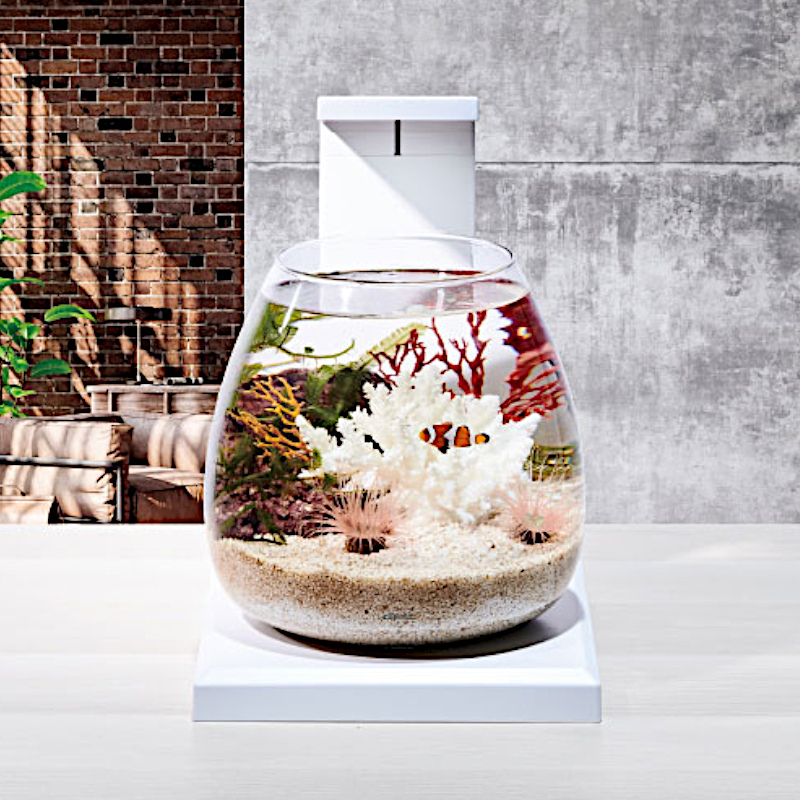 WWW AQUA 水槽 オールインワン アクアリウム ベタ ジオラマ 観賞魚 WWW AQUA 水槽 オールインワン アクアリウム ベタ ジオラマ 観賞