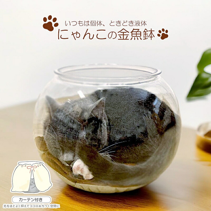 楽天市場】【キャットベッド】にゃんこの金魚鉢 キャットベッド