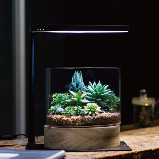 ONFExtensionStandHolder水槽ライト用スタンド(スタンドのみ、ライト本体は別売り)LEDアクアリウムライト、植物照明、適応の水槽サイズ30cm