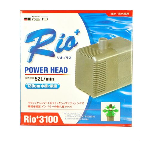 カミハタ Rio+3100 (60Hz)｜アクアデイリーストア