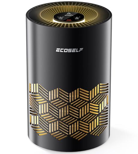 ECOSELF空気の状態汚れのない機小型【2025新真似形Hepaこし器1h5回御部屋洗い濯ぎ節電】12畳極静音軽さ脱臭/PM2.5/花粉/棲み家砂ぼこり/砂ぼこり/葉巻きタバコ/愛玩動物の毛/真菌/除菌/アレルギー反応/雨季打つ手盛りだくさんな佇まいラ…