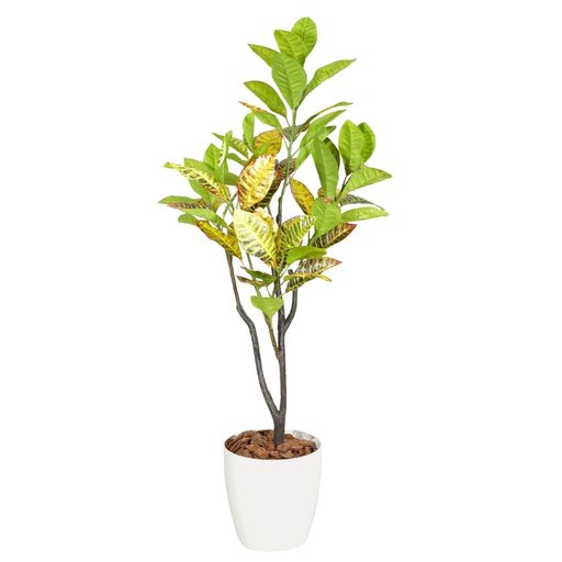 Botanical life+ フェイクグリーン 観葉植物 光触媒 日本製 消臭 抗菌 クロトン 120cm NBシリーズ｜アクアデイリーストア