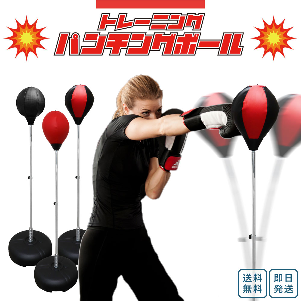 楽天市場】☆セールsale 37％OFF☆ エルフォース LFORCE 格闘技 サンド