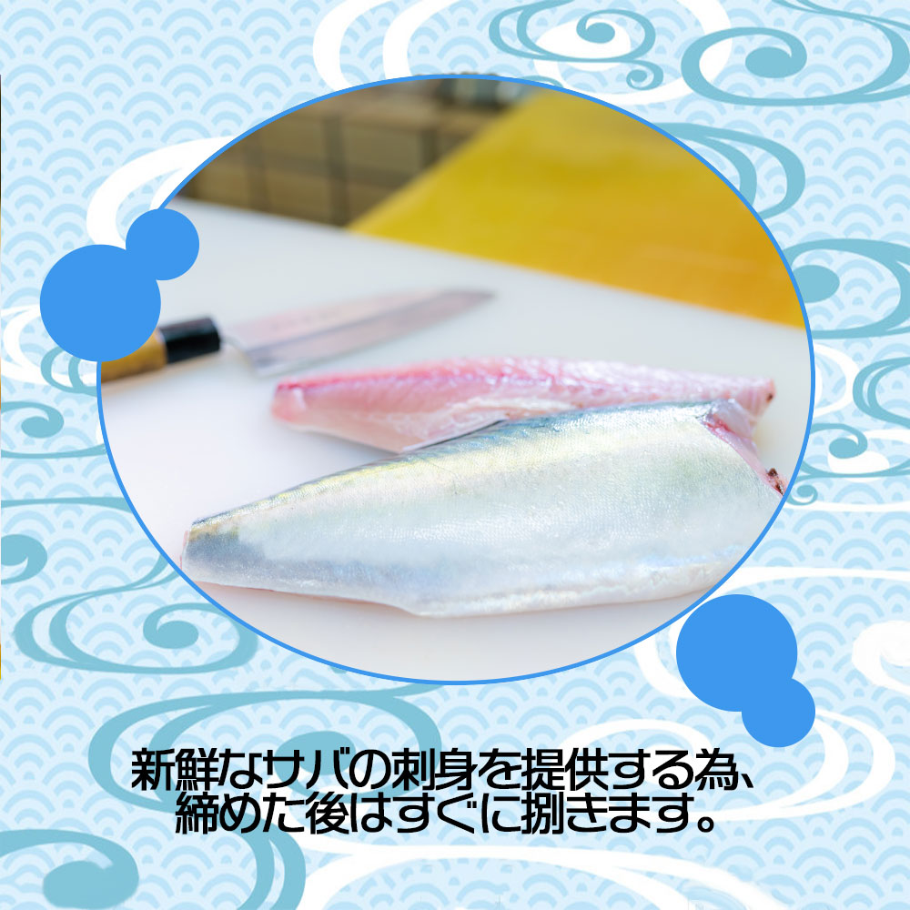 楽天市場 姫サバ 刺身 皮骨付き 1尾700g前後 切り身 生食可 鯖 刺身 鯖 刺し身 鯖 切り身 鯖 切身 サバ 刺身 サバ 刺し身 サバ 切り身 サバ 切身 サバ フィレ 鯖 お刺身 産地直送 お酒に合う 誕生日 プレゼント ギフト デイリーコンパス
